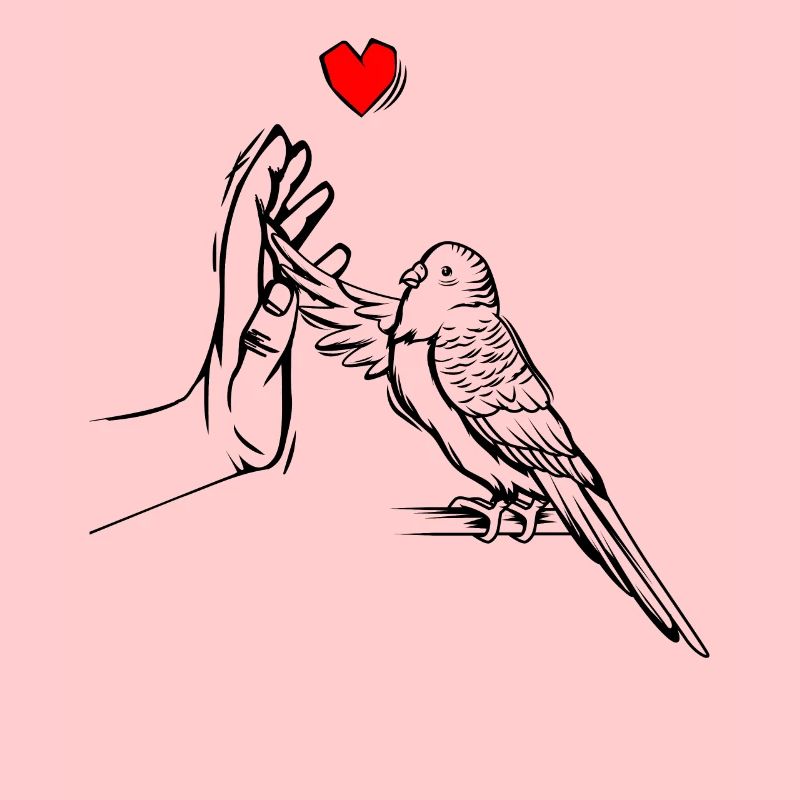 Budgerigar