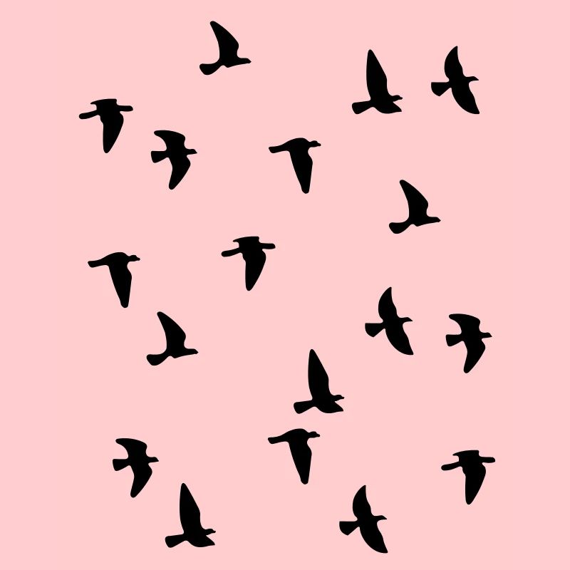 nuée d'oiseaux