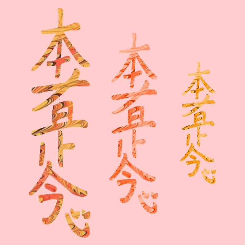hon sha ze sho nen e 118