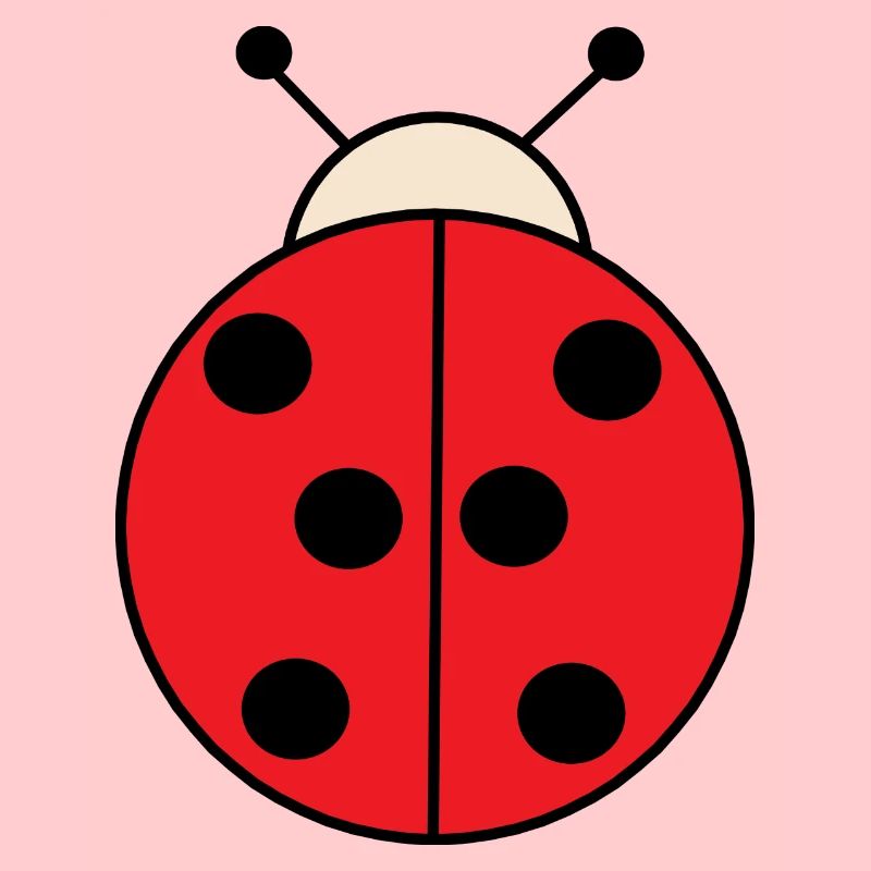 Coccinelle sucrée🐞