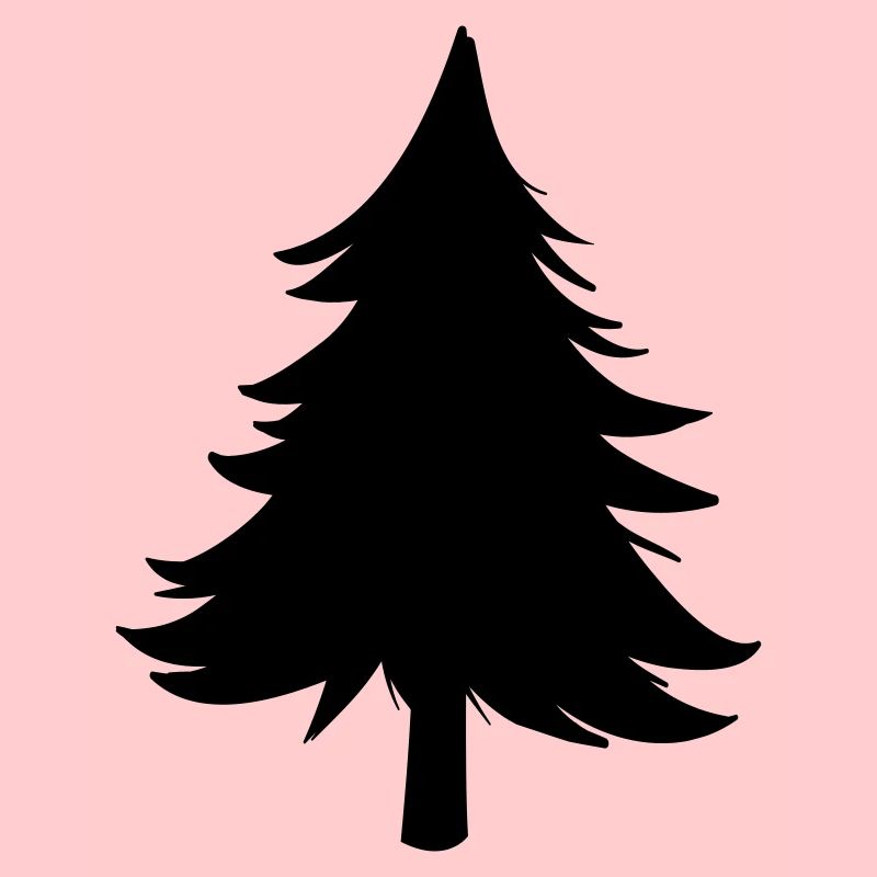 Sapin