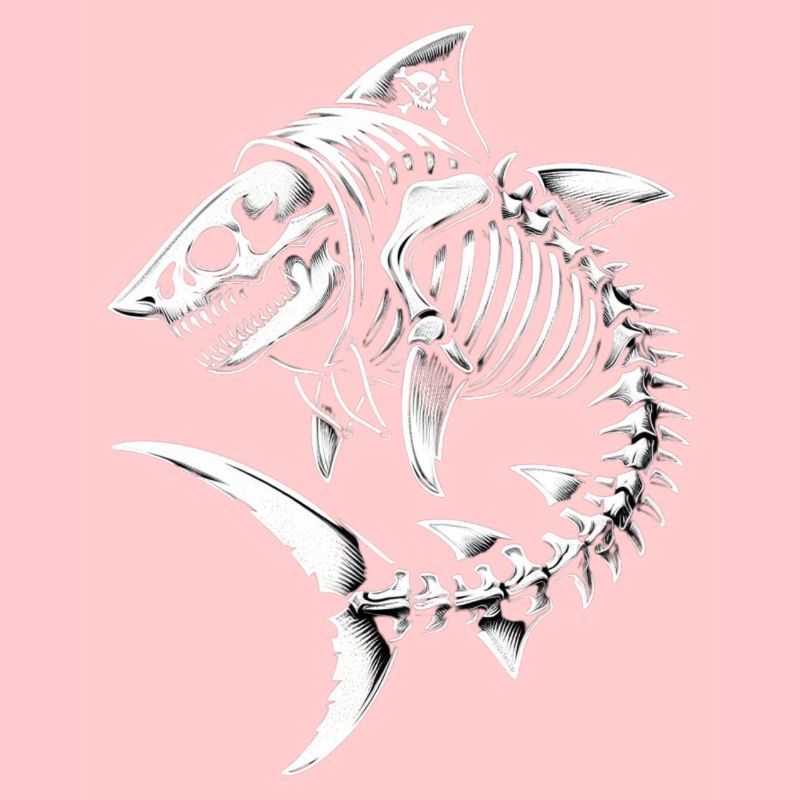 Requin