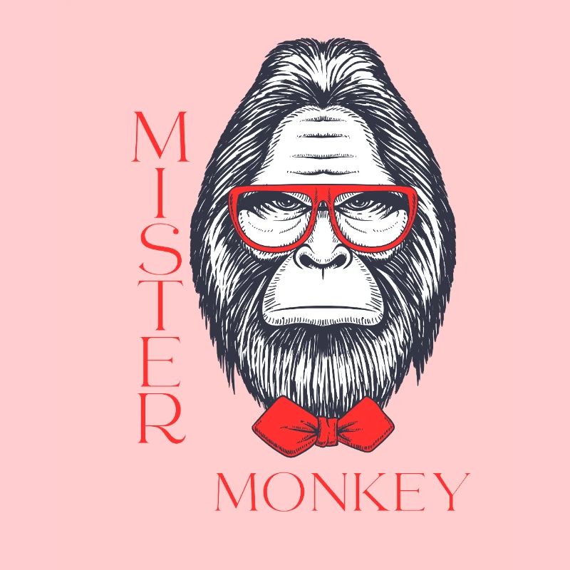 Mister Monkey