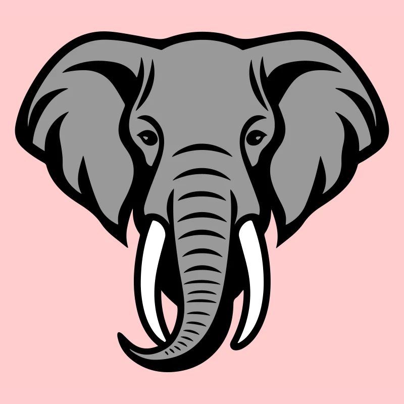 Elefant Kopf