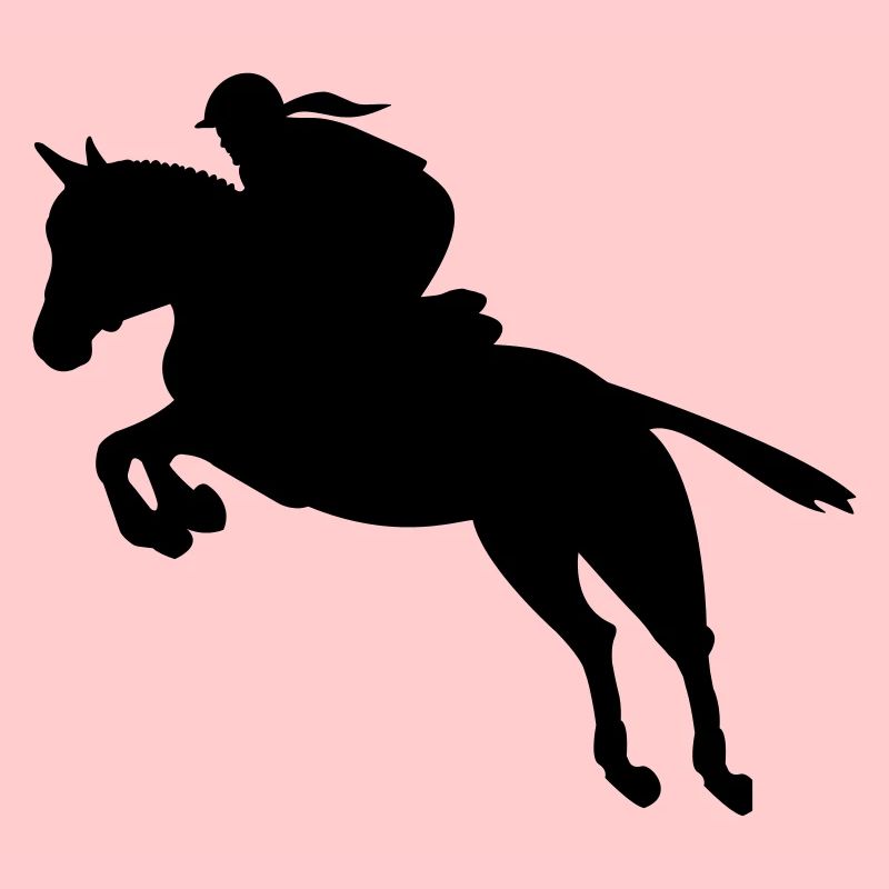 équestre de saut d'obstacles