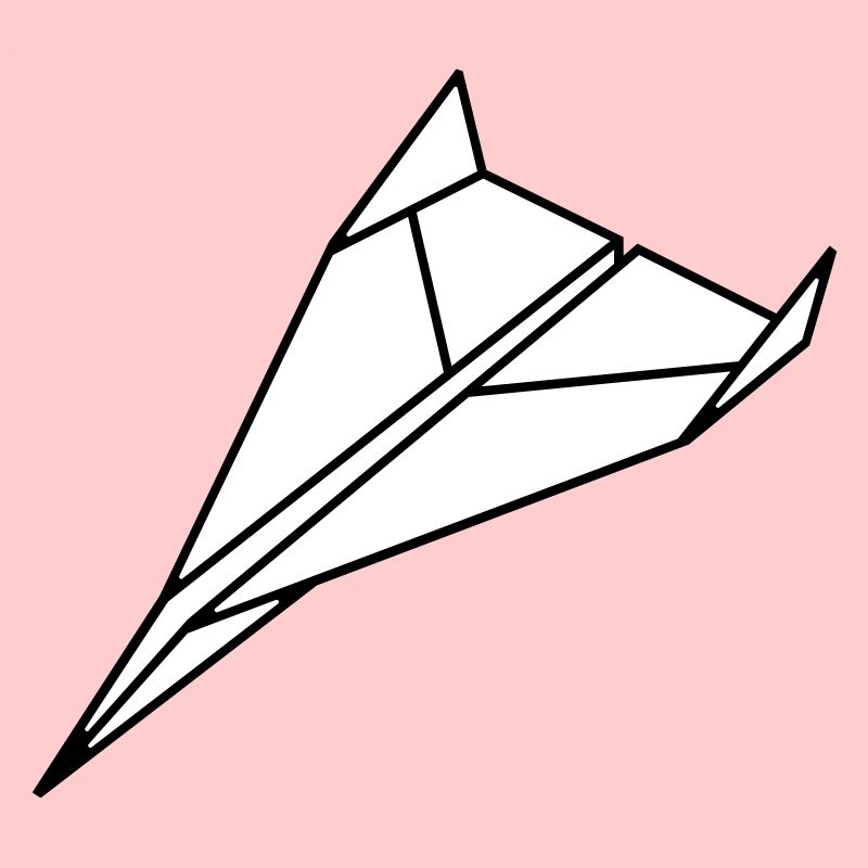 paper plane 2 to1