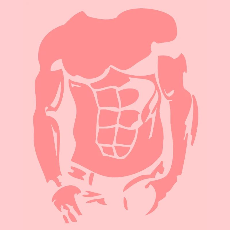 corps muscle2