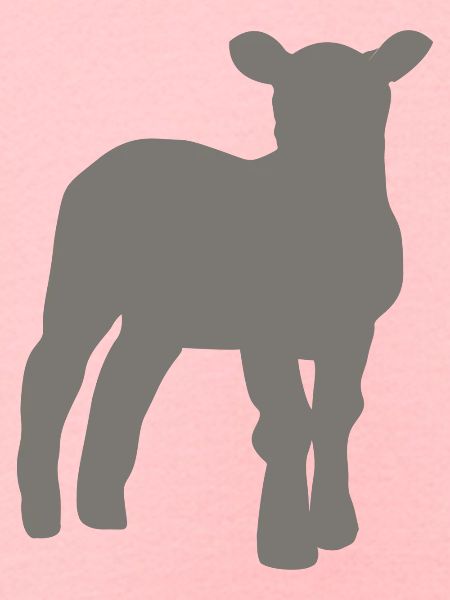 lamb
