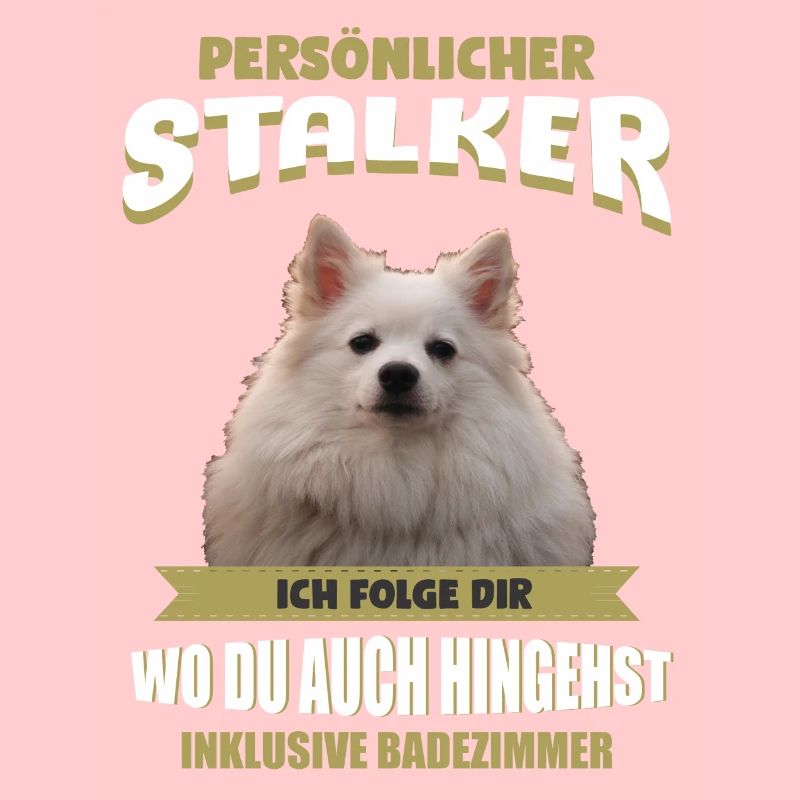 Deutscher Spitz Hund - Deutscher Spitz