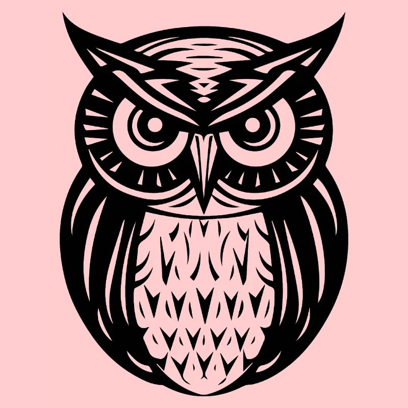 Eule Eulen Vogel Vögel