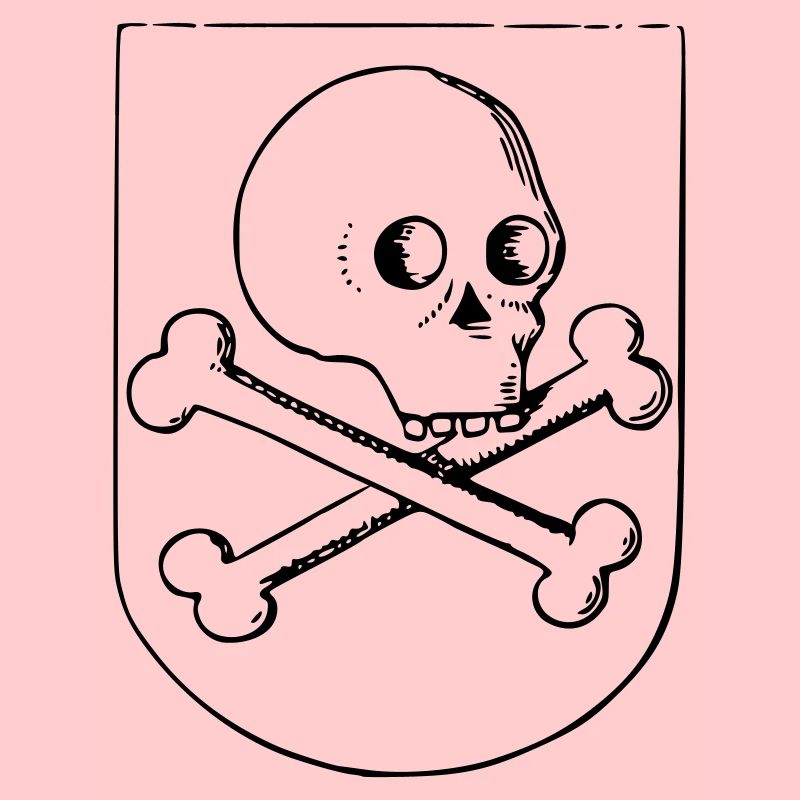 Crâne et os