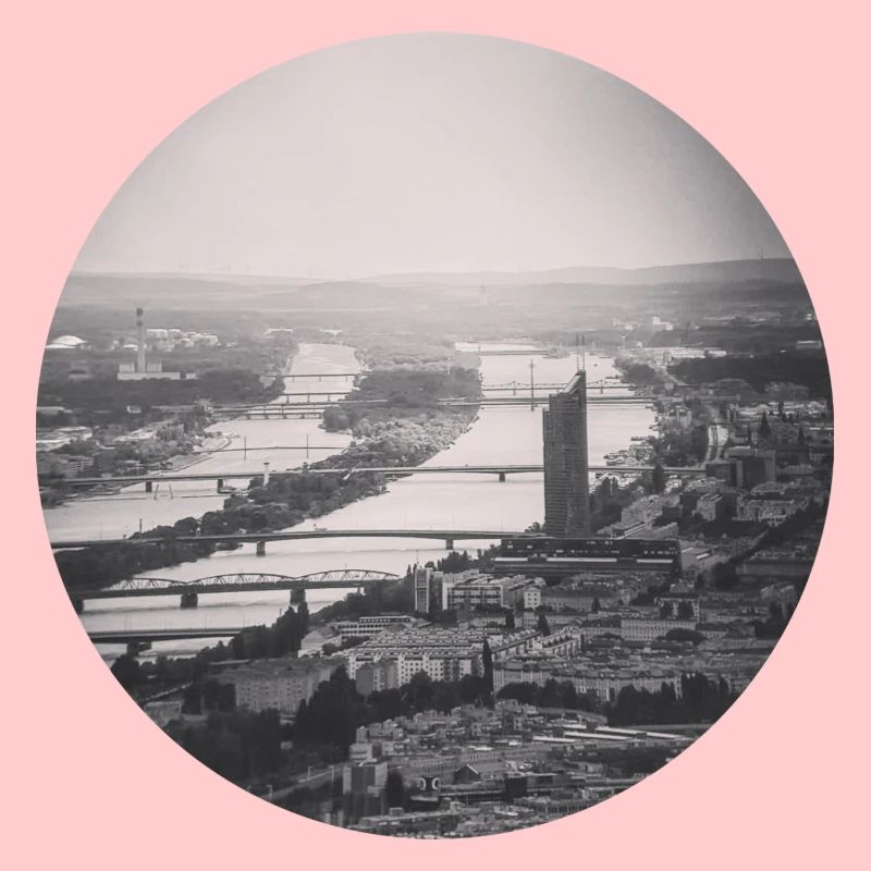 Vienne, Vienne n'est que toi