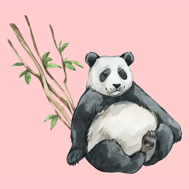 Panda Eukalyptus