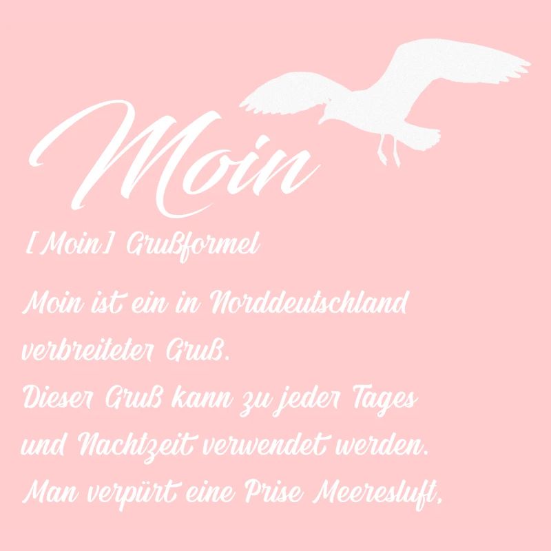 Moin Definiton Geschenk Idee mit Möwe