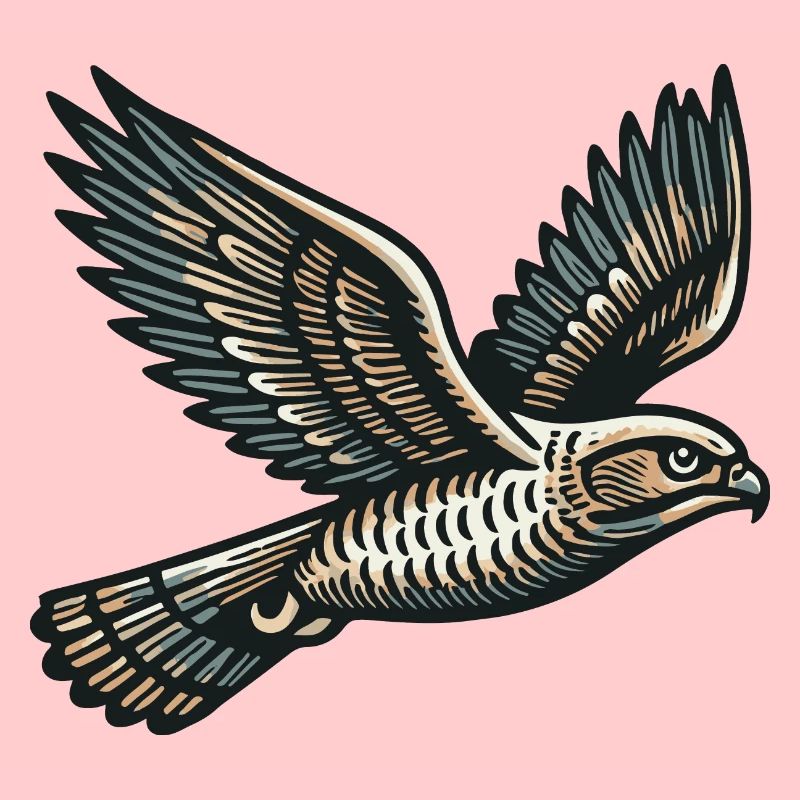 Hawk