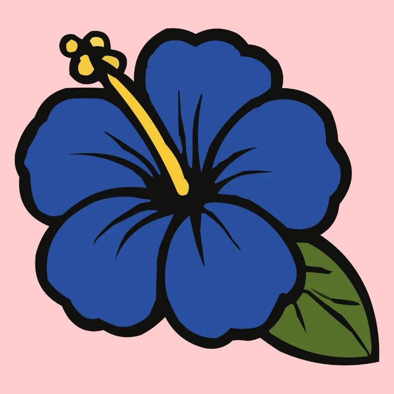 Fleur d’hibiscus