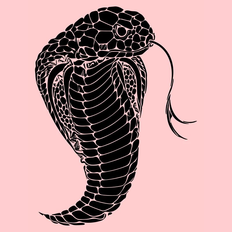Cobra snake cobra snake