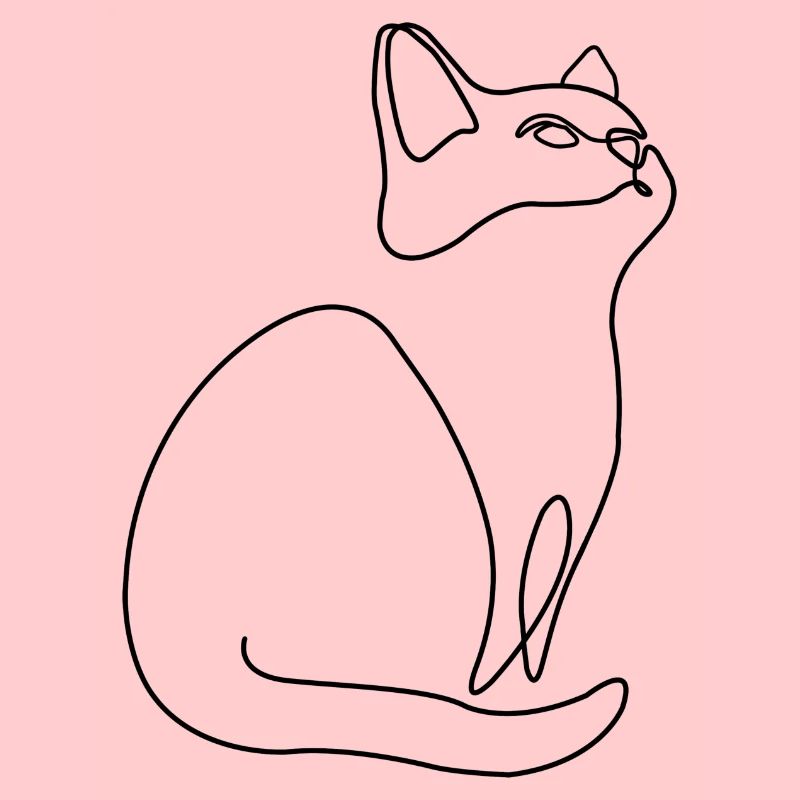 Kätzchen Kater Katze