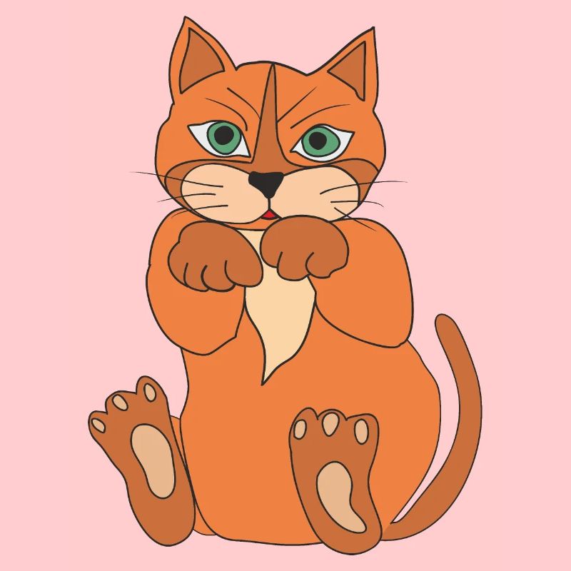 Chat mignon