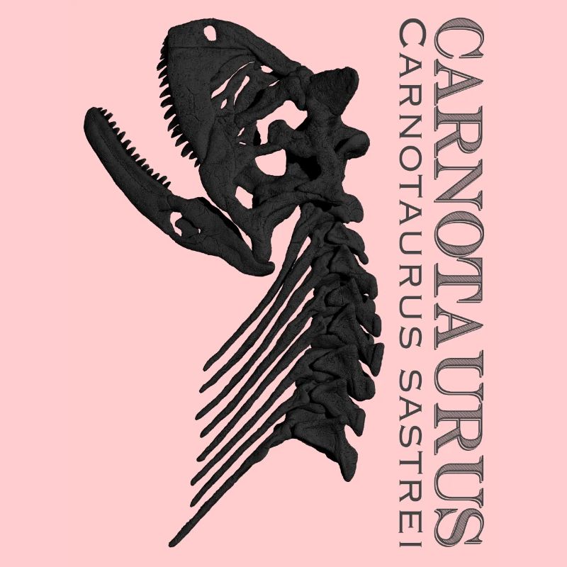 Crâne de Carnotaurus noir
