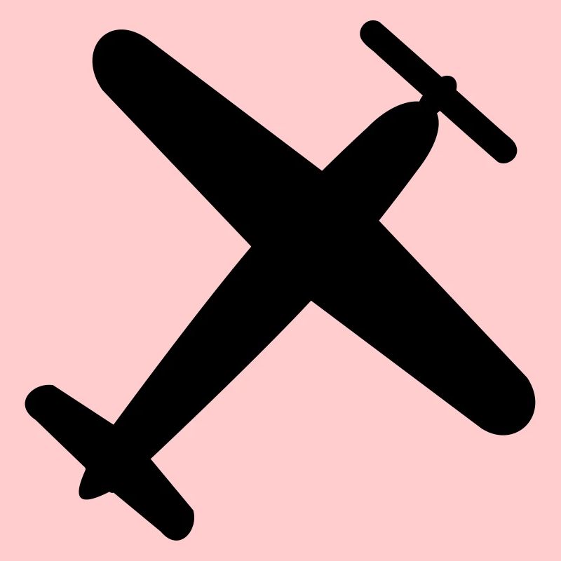 avion