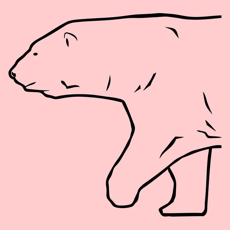 Polar Bear - Eisbär