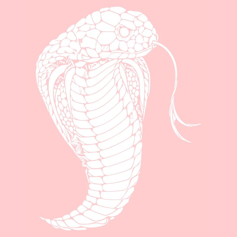Cobra snake cobra snake