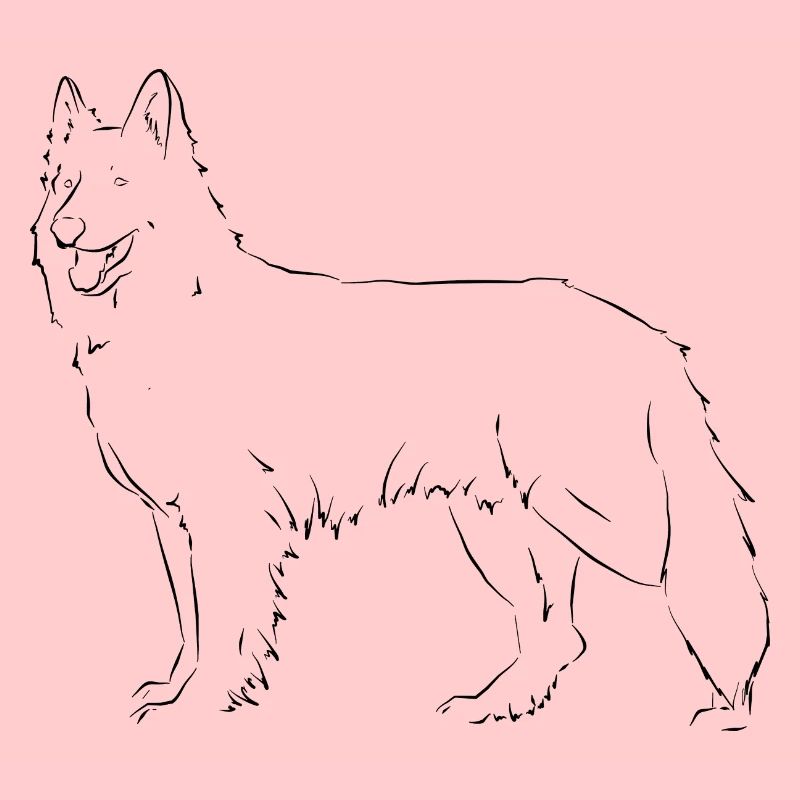 Weißer Schweizer Schäferhund