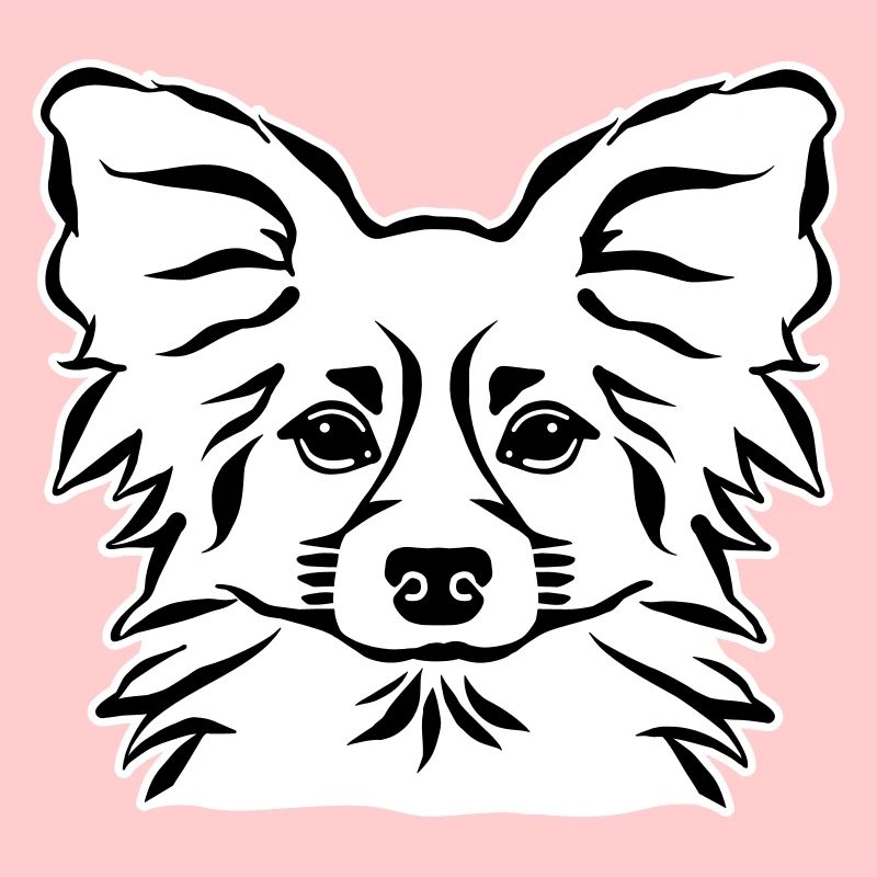 Papillon