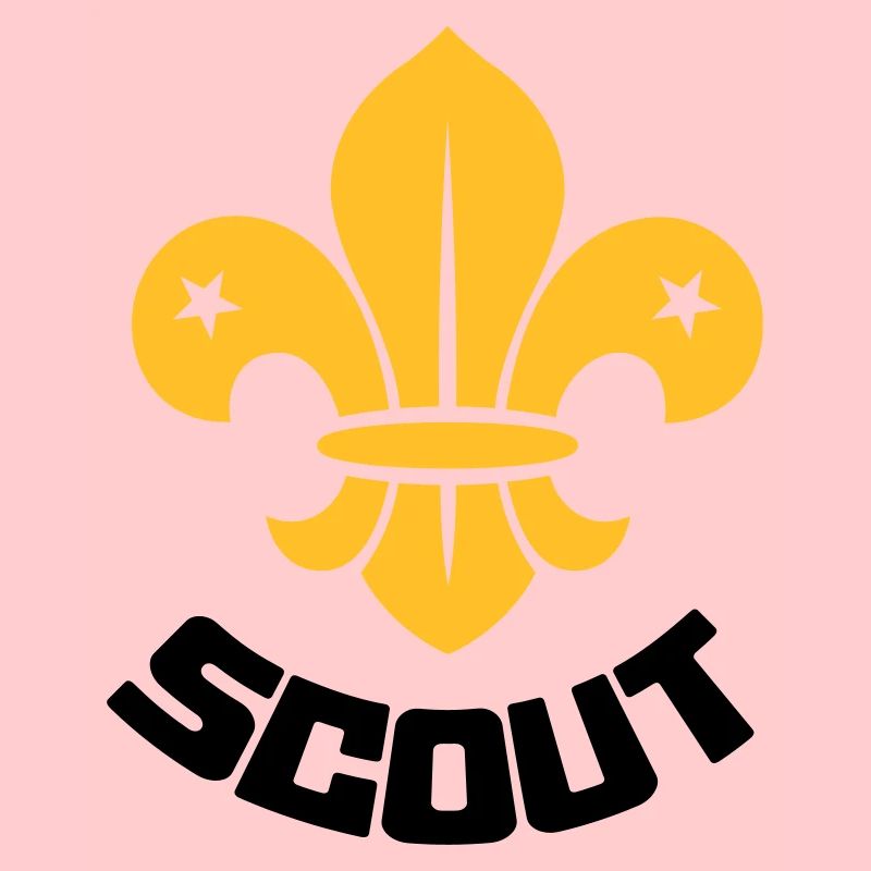 Scout - Scouting