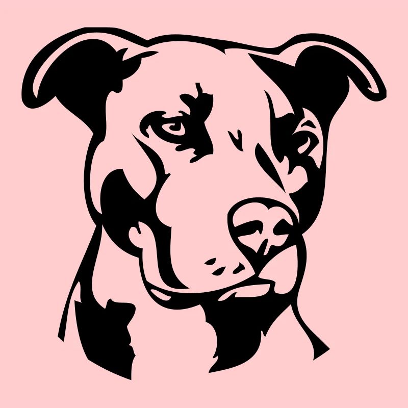Pitbull einfarbig - Hund Kampfhund