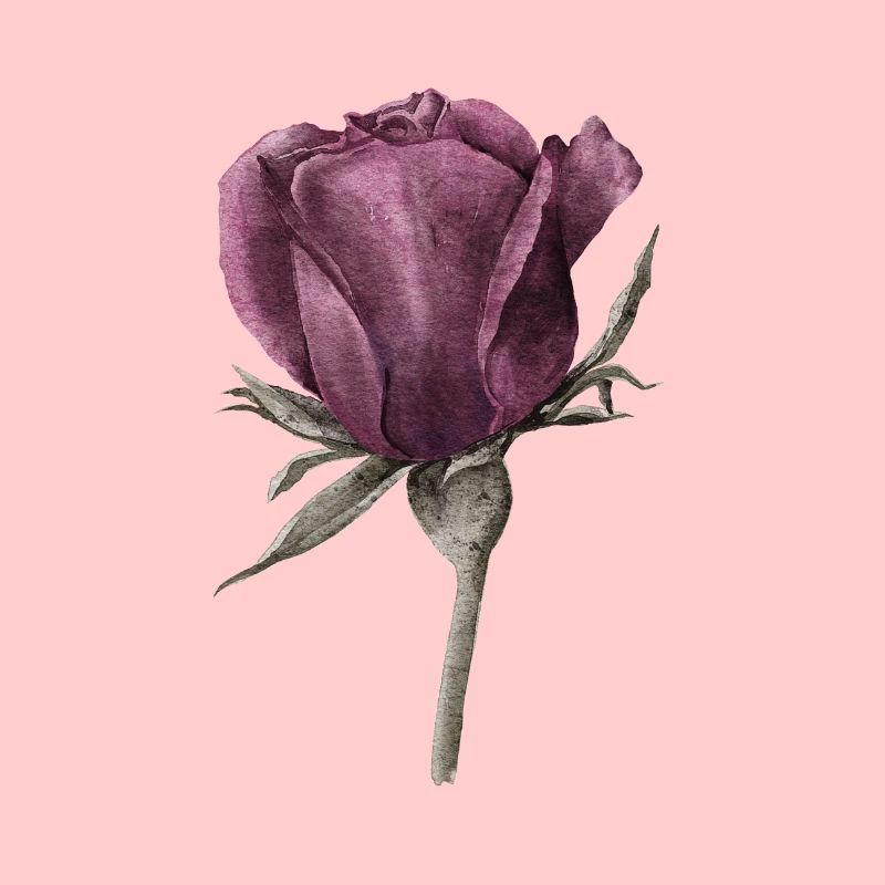 Rose Fleur