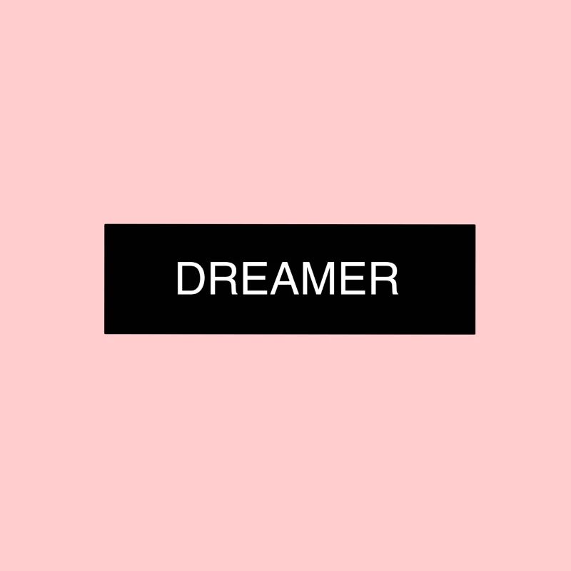 dreamer text