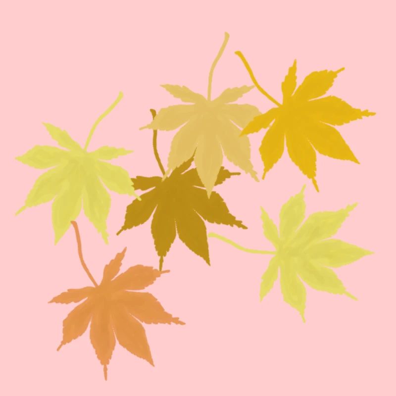 Maple leaf