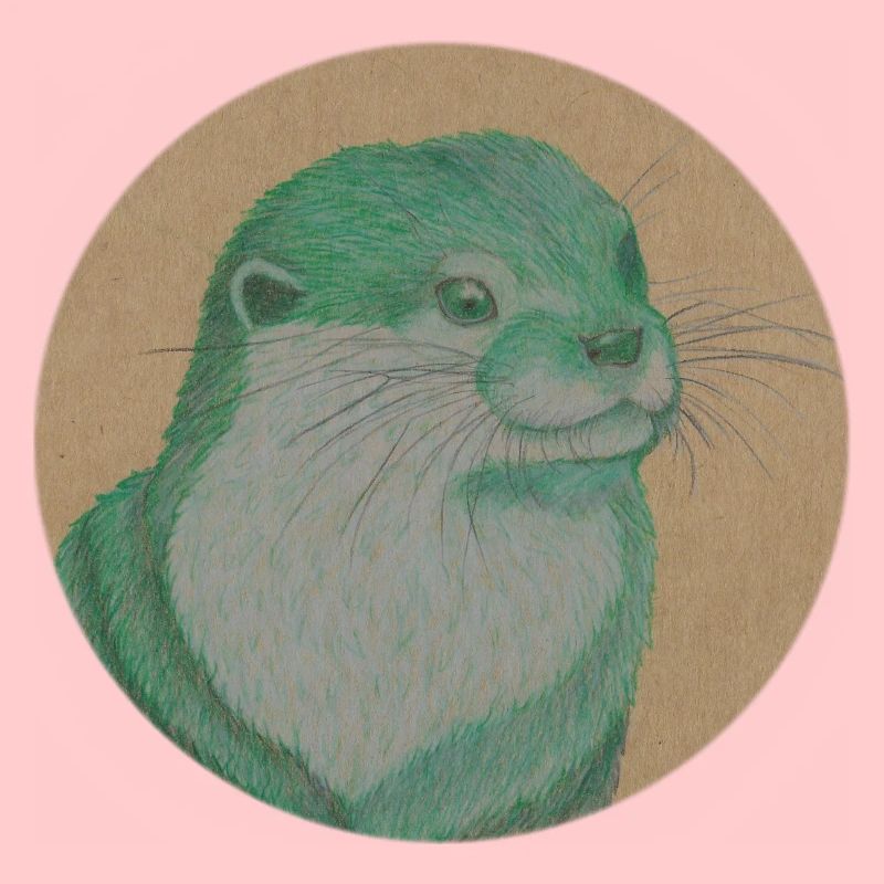 Otter 2 20 11 2022