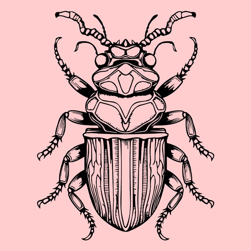 Insectes, bestioles, arthropodes