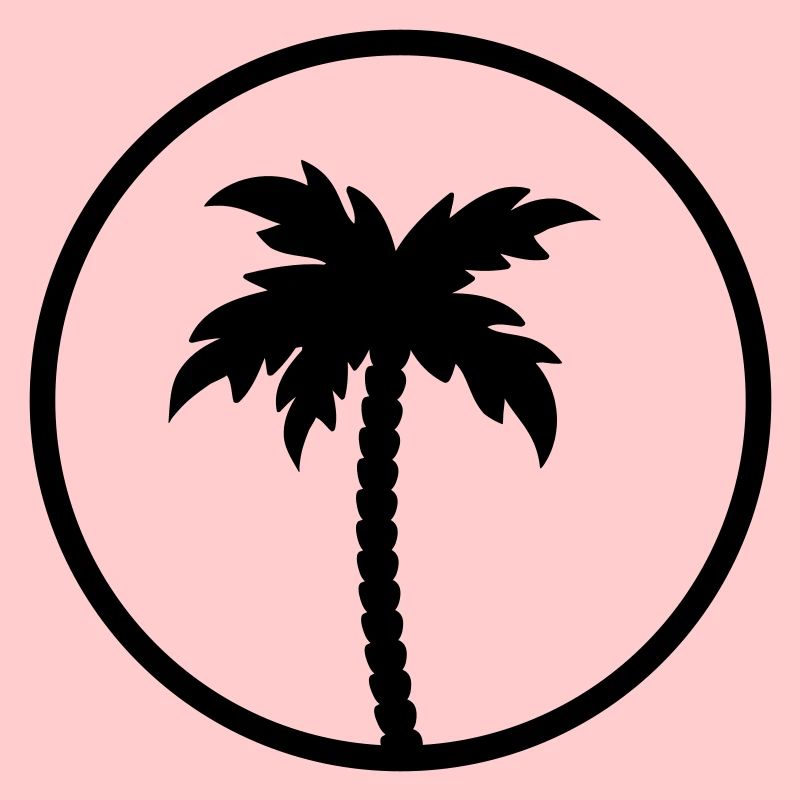palm tree
