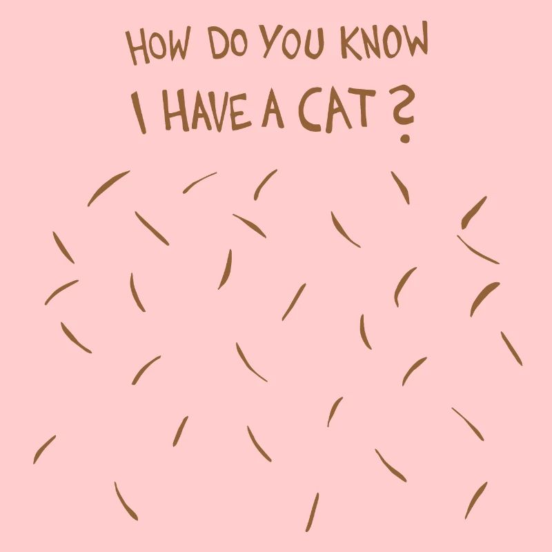 Comment savez-vous que j’ai un chat (poils de chat brun)