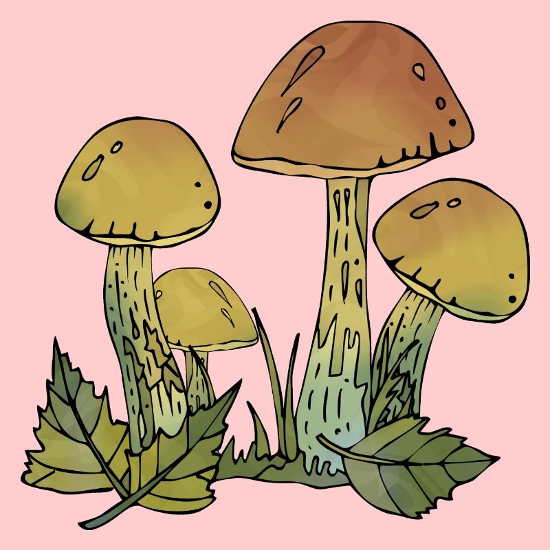 Fungi