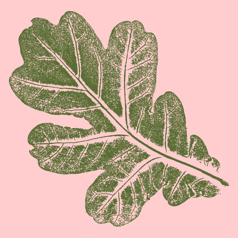 Eichenblatt - Blatt/ Eiche Khaki