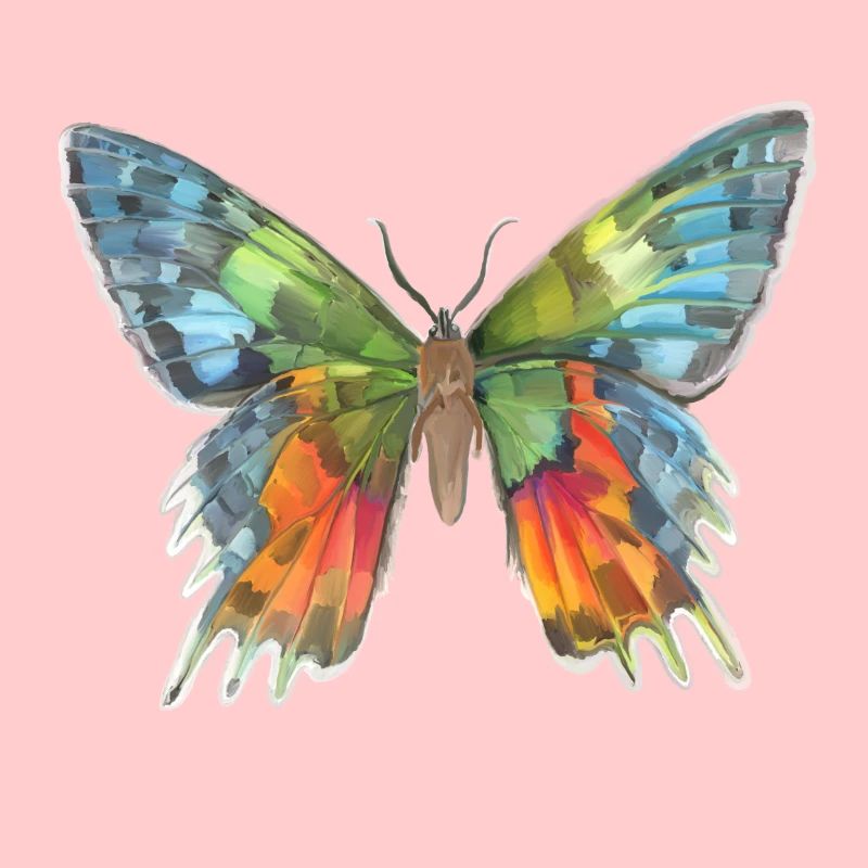 Papillon