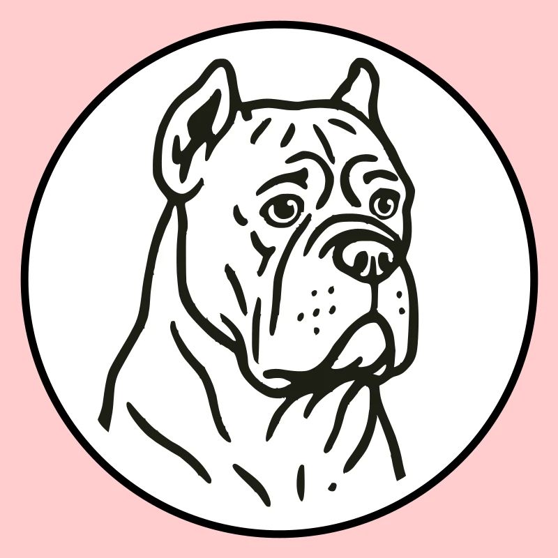 Cane corso