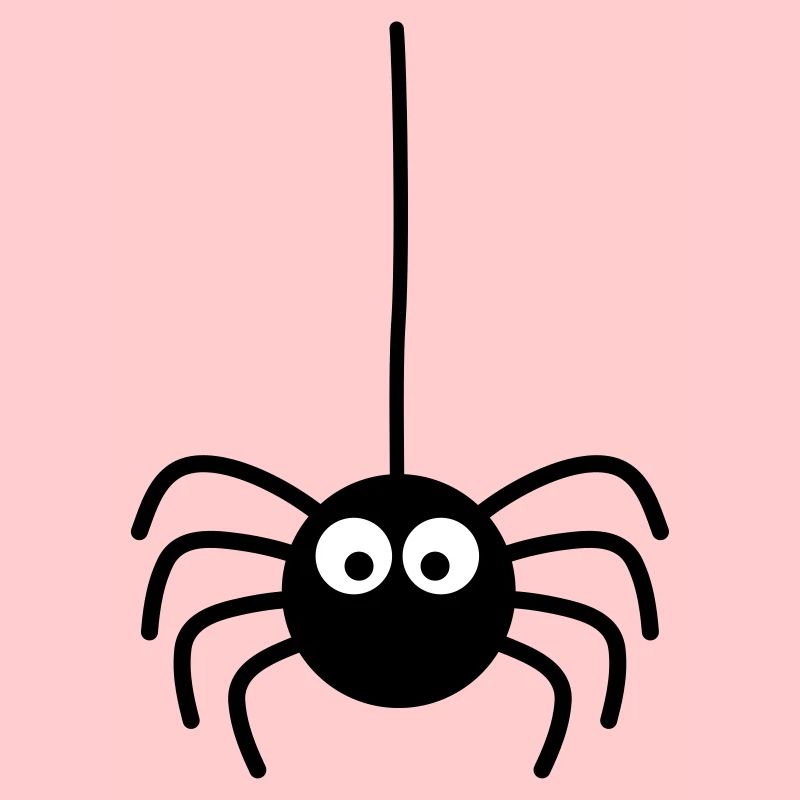 spider araignée