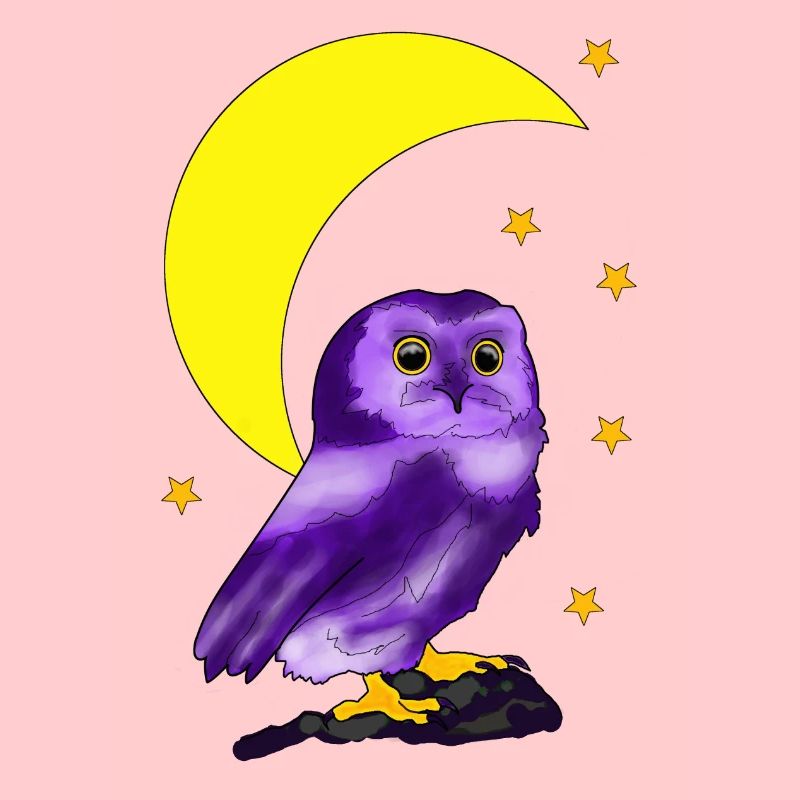 Chouette devant le croissant de lune