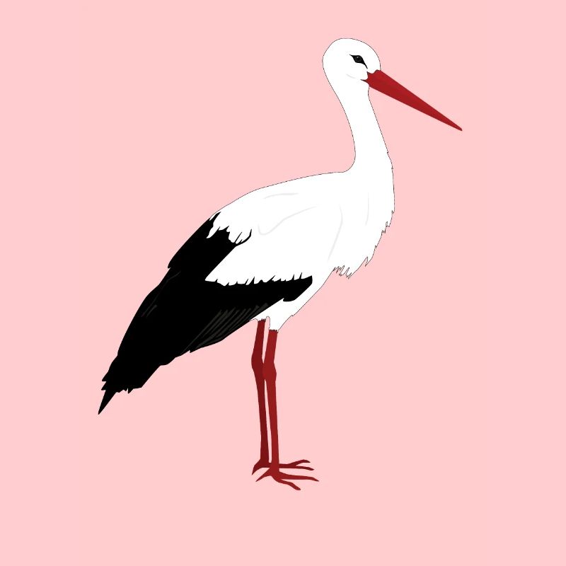 Stork stands