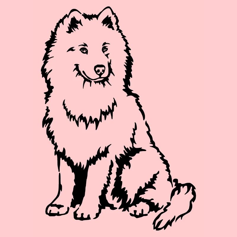 Samoyed