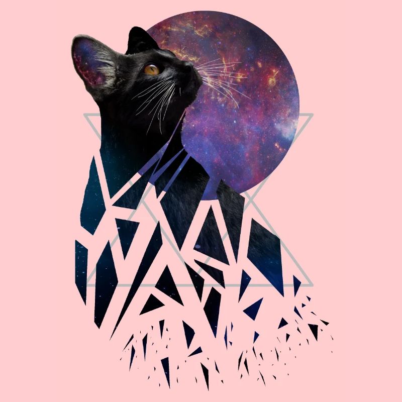 Space Cat - Space Animals Serie