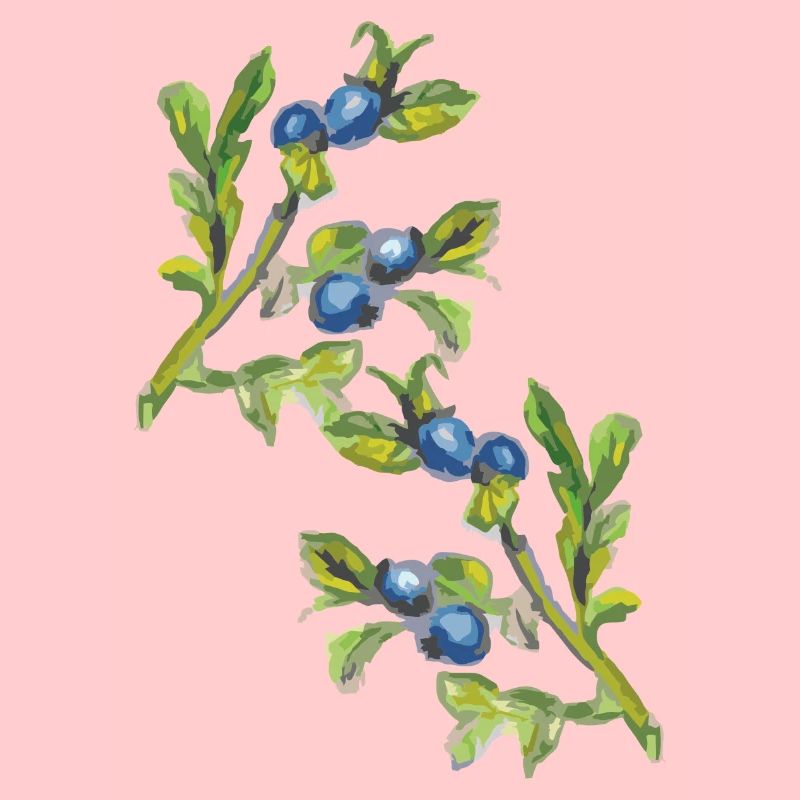 Branche de myrtille