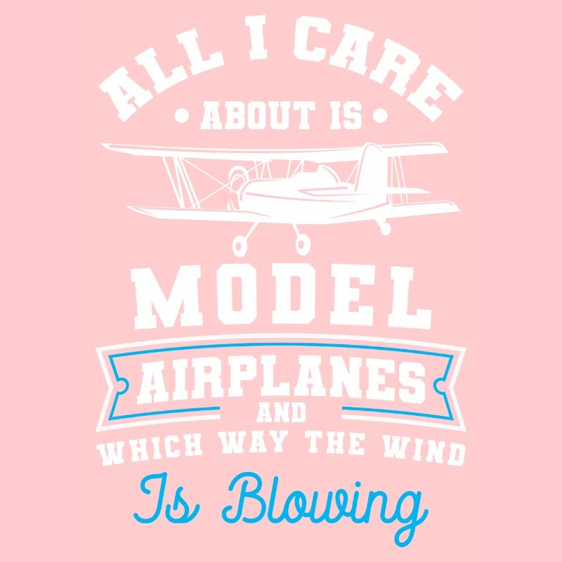 Modellflugzeug Flugzeug Pilot Modell