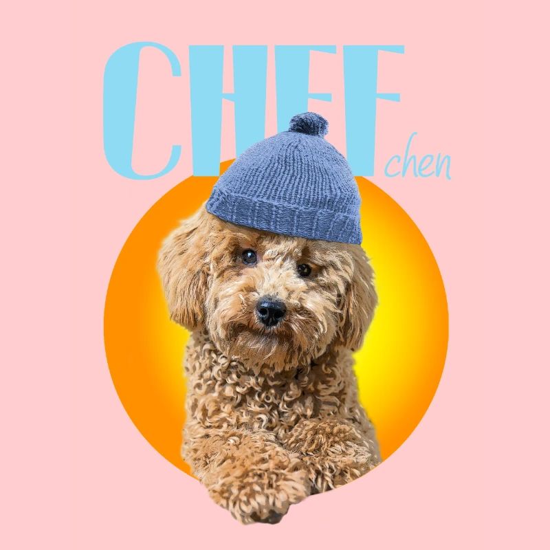 Caniche avec bonnet caniche « Chef »